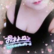 ヒメ日記 2025/07/03 08:49 投稿 なお 愛媛松山ちゃんこ