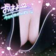 ヒメ日記 2025/07/09 07:29 投稿 なお 愛媛松山ちゃんこ