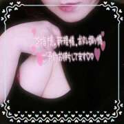 ヒメ日記 2025/07/12 12:19 投稿 なお 愛媛松山ちゃんこ