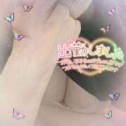 ヒメ日記 2025/07/13 11:09 投稿 なお 愛媛松山ちゃんこ