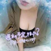 ヒメ日記 2025/07/25 16:29 投稿 なお 愛媛松山ちゃんこ