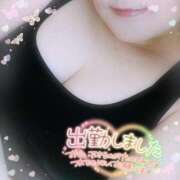 ヒメ日記 2025/07/28 10:19 投稿 なお 愛媛松山ちゃんこ