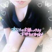 ヒメ日記 2025/08/04 12:19 投稿 なお 愛媛松山ちゃんこ