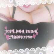 ヒメ日記 2025/08/19 11:59 投稿 なお 愛媛松山ちゃんこ