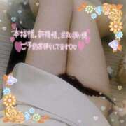 ヒメ日記 2025/08/20 10:09 投稿 なお 愛媛松山ちゃんこ