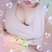 ヒメ日記 2025/08/28 11:09 投稿 なお 愛媛松山ちゃんこ