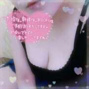 ヒメ日記 2025/09/09 10:19 投稿 なお 愛媛松山ちゃんこ