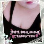 ヒメ日記 2025/09/10 10:39 投稿 なお 愛媛松山ちゃんこ