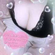 ヒメ日記 2025/10/29 11:59 投稿 なお 愛媛松山ちゃんこ