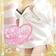 ヒメ日記 2025/11/05 11:59 投稿 なお 愛媛松山ちゃんこ