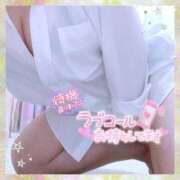 ヒメ日記 2025/11/16 13:29 投稿 なお 愛媛松山ちゃんこ