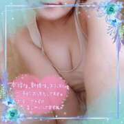 ヒメ日記 2025/11/17 11:09 投稿 なお 愛媛松山ちゃんこ