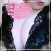 ヒメ日記 2025/11/25 11:49 投稿 なお 愛媛松山ちゃんこ