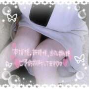 ヒメ日記 2025/11/26 11:19 投稿 なお 愛媛松山ちゃんこ