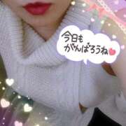 ヒメ日記 2025/11/28 09:39 投稿 なお 愛媛松山ちゃんこ