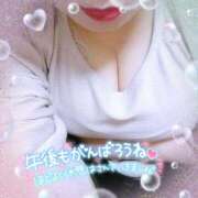 ヒメ日記 2025/12/01 13:09 投稿 なお 愛媛松山ちゃんこ