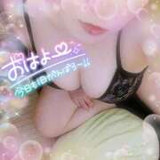 ヒメ日記 2025/12/02 08:59 投稿 なお 愛媛松山ちゃんこ