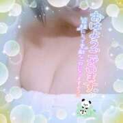 ヒメ日記 2025/12/05 07:59 投稿 なお 愛媛松山ちゃんこ