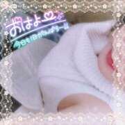 ヒメ日記 2025/12/10 07:59 投稿 なお 愛媛松山ちゃんこ