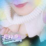 ヒメ日記 2025/12/15 07:59 投稿 なお 愛媛松山ちゃんこ