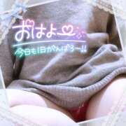 ヒメ日記 2025/12/16 07:39 投稿 なお 愛媛松山ちゃんこ