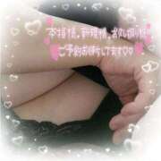 ヒメ日記 2025/12/26 10:59 投稿 なお 愛媛松山ちゃんこ