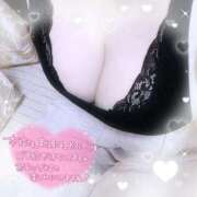 ヒメ日記 2026/01/14 11:01 投稿 なお 愛媛松山ちゃんこ