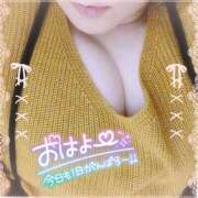 ヒメ日記 2026/02/04 09:09 投稿 なお 愛媛松山ちゃんこ