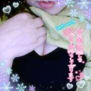 ヒメ日記 2026/02/11 11:19 投稿 なお 愛媛松山ちゃんこ