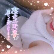 ヒメ日記 2026/02/16 09:49 投稿 なお 愛媛松山ちゃんこ