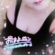 ヒメ日記 2026/02/19 09:29 投稿 なお 愛媛松山ちゃんこ