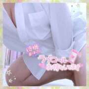 ヒメ日記 2026/03/05 18:32 投稿 なお 愛媛松山ちゃんこ