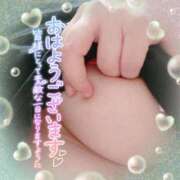 ヒメ日記 2026/03/08 09:49 投稿 なお 愛媛松山ちゃんこ