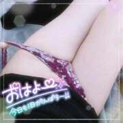 ヒメ日記 2026/03/10 09:39 投稿 なお 愛媛松山ちゃんこ