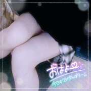 ヒメ日記 2026/03/16 10:43 投稿 なお 愛媛松山ちゃんこ