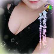 ヒメ日記 2026/03/25 10:29 投稿 なお 愛媛松山ちゃんこ