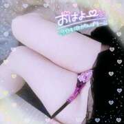 ヒメ日記 2026/04/07 10:39 投稿 なお 愛媛松山ちゃんこ