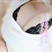 ヒメ日記 2026/04/08 10:29 投稿 なお 愛媛松山ちゃんこ