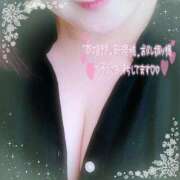 ヒメ日記 2026/04/14 10:19 投稿 なお 愛媛松山ちゃんこ