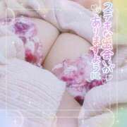 ヒメ日記 2026/04/16 10:29 投稿 なお 愛媛松山ちゃんこ