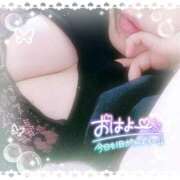 ヒメ日記 2026/04/17 09:09 投稿 なお 愛媛松山ちゃんこ