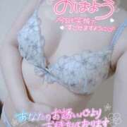 ヒメ日記 2024/12/17 10:46 投稿 あお club さくら日本橋店