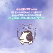 ヒメ日記 2025/01/10 14:36 投稿 あお club さくら日本橋店