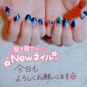 ヒメ日記 2025/11/08 14:36 投稿 あお club さくら日本橋店