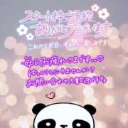 ヒメ日記 2026/04/27 12:46 投稿 あお club さくら日本橋店