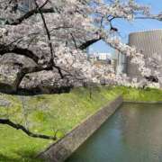 ヒメ日記 2025/04/07 05:47 投稿 ゆん ハピネス東京