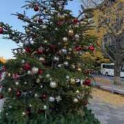 ヒメ日記 2025/12/02 06:01 投稿 ゆん ハピネス東京