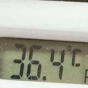 ヒメ日記 2024/12/17 10:42 投稿 愛ちゃん❤️若妻系 向日葵（ひまわり)