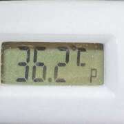 ヒメ日記 2024/12/18 11:01 投稿 愛ちゃん❤️若妻系 向日葵（ひまわり)