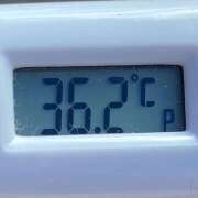 ヒメ日記 2024/12/19 10:46 投稿 愛ちゃん❤️若妻系 向日葵（ひまわり)